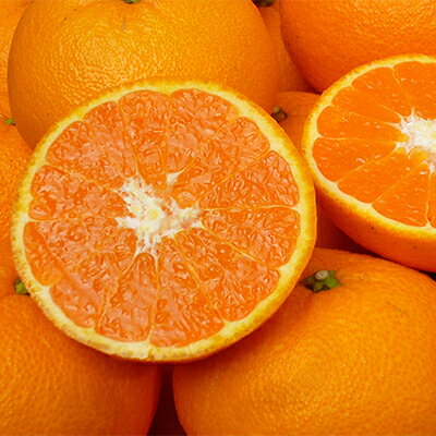 【山口県ブランド】瀬戸内の春みかん　せとみ　20玉～24玉(約4.5kg)_ みかん せとみ 柑橘 果物 くだもの フルーツ 瀬戸内 山口県 ブランド オリジナル品種 甘い 糖度 人気 おすすめ お取り寄せ 送料無料 【1007405】