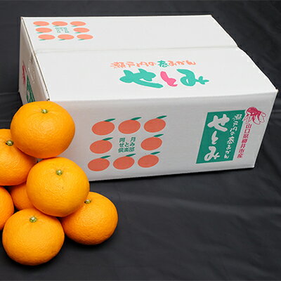 【ふるさと納税】【山口県ブランド】瀬戸内の春みかん　せとみ　20玉～24玉(約4.5kg)_ みかん せとみ 柑橘 果物 くだもの フルーツ 瀬戸内 山口県 ブランド オリジナル品種 甘い 糖度 人気 おすすめ お取り寄せ 送料無料 【1007405】 サムネイル2