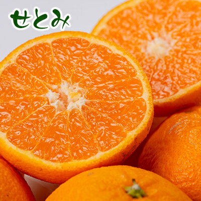 【ふるさと納税】せとみ&はるみの食べ比べ【1430970】 サムネイル3