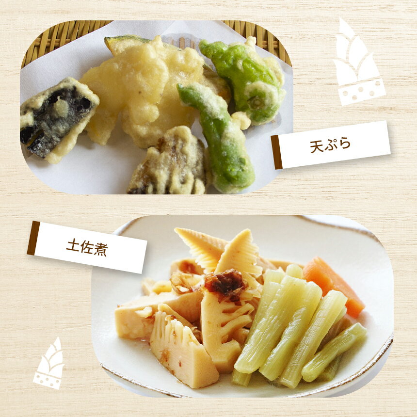 【ふるさと納税】 美祢っ子 無添加たけのこの水煮 (ミニ3種・6個セット) ｜ 山口県 美祢市 美祢 食品 たけのこ 筍 タケノコ 水煮 美味しい おいしい 健康 国産 野菜 無添加 無着色 特産品 名産品 支援品 お取り寄せ ご当地 食材 ヘルシー 取り寄せ おせち お節 - 画像3