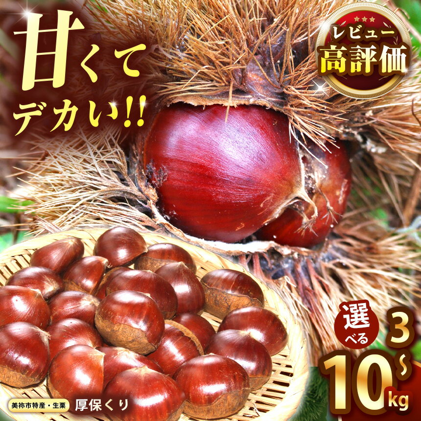 先行予約 期間限定 ！ 甘くて デカい ! 厚保くり ( 生栗 ) 3kg / 5kg / 10kg 山口美祢産 ＜2026年10月上旬頃～ 11月中旬発送予定＞ ｜ 山口 美祢 栗 くり 厚保 大きい 甘い 大玉 特産品 焼き栗 栗ご飯 生栗 季節限定