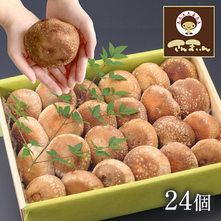 菌床椎茸 美峰の恵み さんまいん (24個) ｜ 椎茸 しいたけ 菌床 きのこ さんまいん 肉厚 山口 美祢市 美祢 特産品 秋吉台