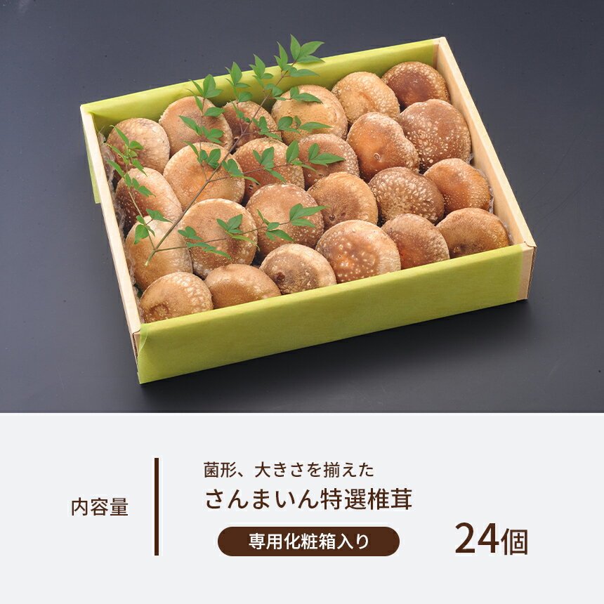 【ふるさと納税】 菌床椎茸 美峰の恵み さんまいん (24個) ｜ 椎茸 しいたけ 菌床 きのこ さんまいん 肉厚 山口 美祢市 美祢 特産品 秋吉台 - 画像2