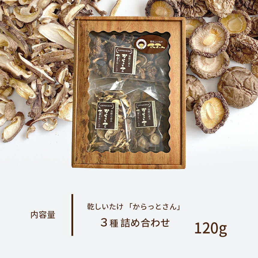 【ふるさと納税】 乾椎茸 干し椎茸 ｜ 椎茸 しいたけ 乾燥 干し 菌床 きのこ さんまいん 料理 味付け 山口 美祢市 美祢 特産品 - 画像2