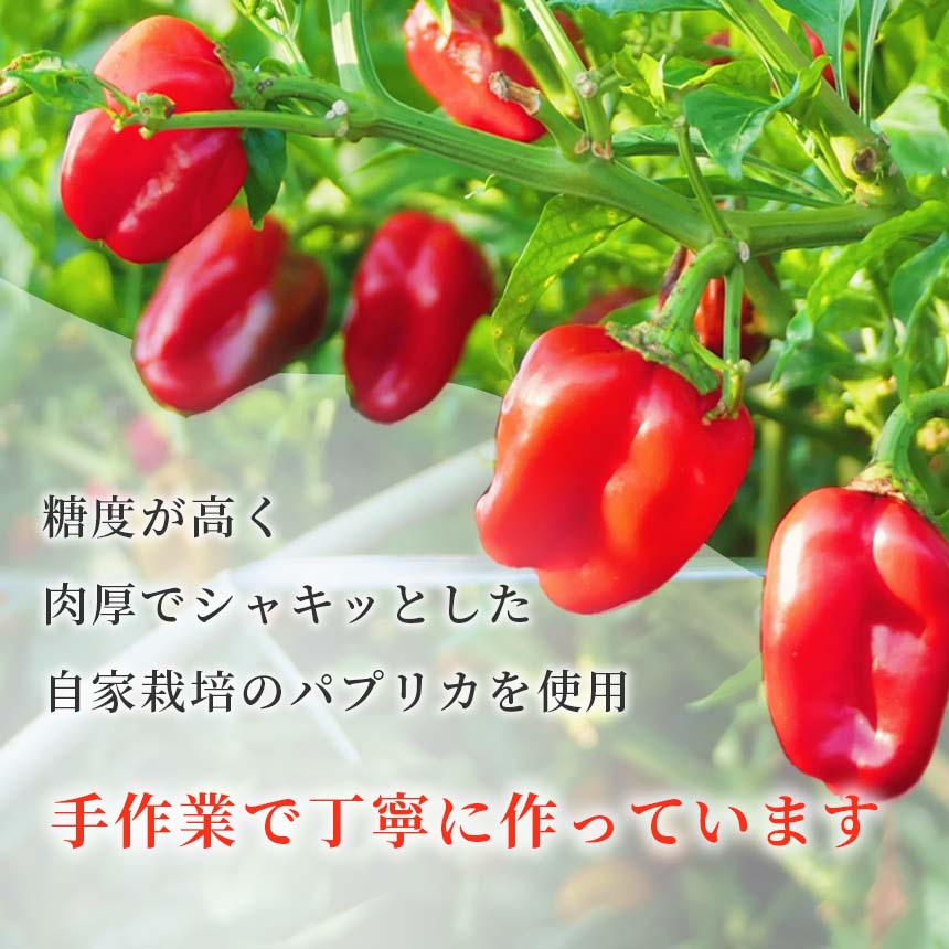 【ふるさと納税】 パプリカ調味料「マッサ」塩 ｜ 野菜 パプリカ マッサ 調味料 発酵調味料 お野菜のジャム 万能調味料 自家栽培 料理 ブルーベリー 果物 果実 ジャム 手作り 塩味 パスタ ソース 煮込み料理 アクセント 特産品 山口 美祢 美祢市 - 画像2