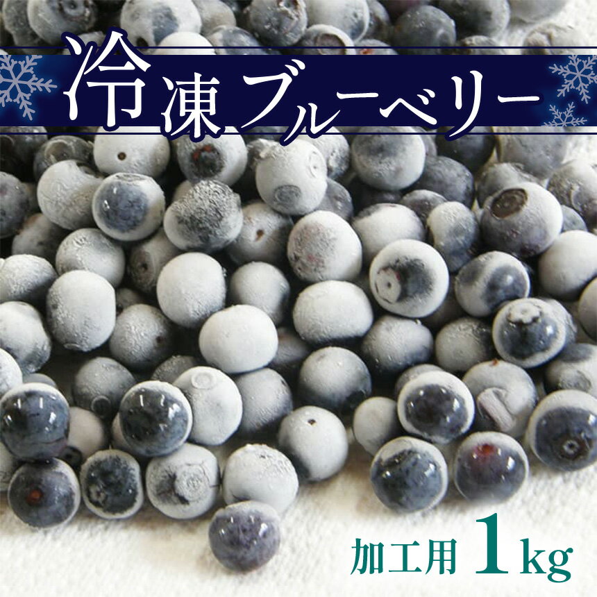 冷凍ブルーベリー(加工用) ｜ 果物 くだもの フルーツ ブルーベリー 冷凍 加工用 1kg 山口 美祢市 美祢 特産品 スムージー ジャム