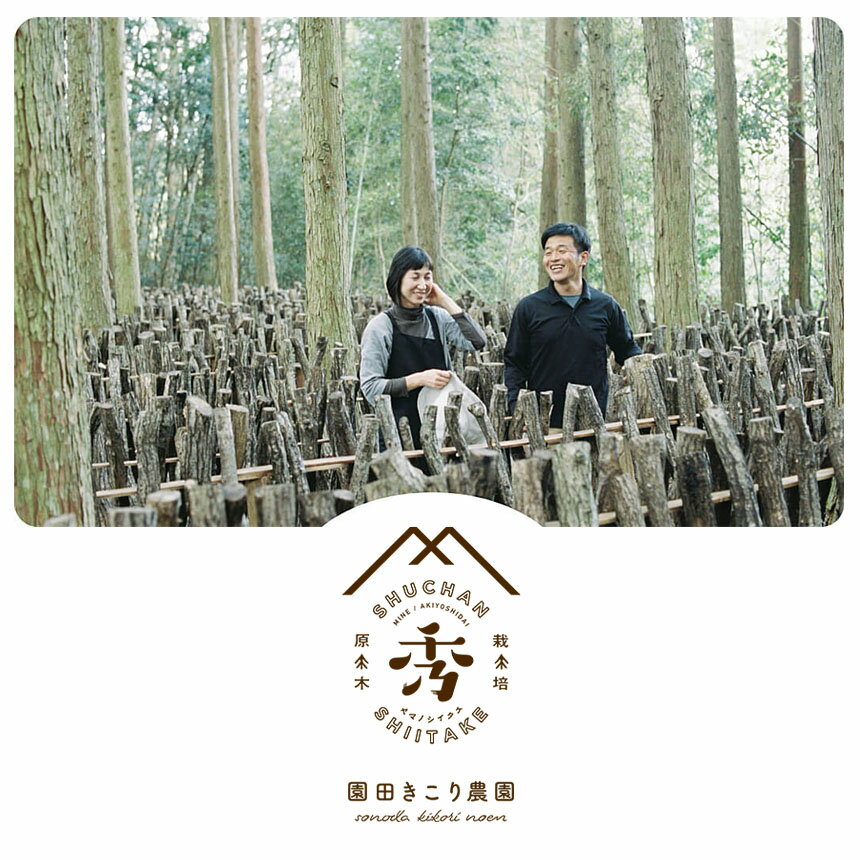 【ふるさと納税】 乾燥 肉厚椎茸 スライス&中葉セット ｜ 乾燥椎茸 しいたけ 椎茸 肉厚 スライス 中葉 家庭用 野菜 きのこ 和食 洋食 料理 出汁 特産品 美祢市 山口県 美祢 - 画像2