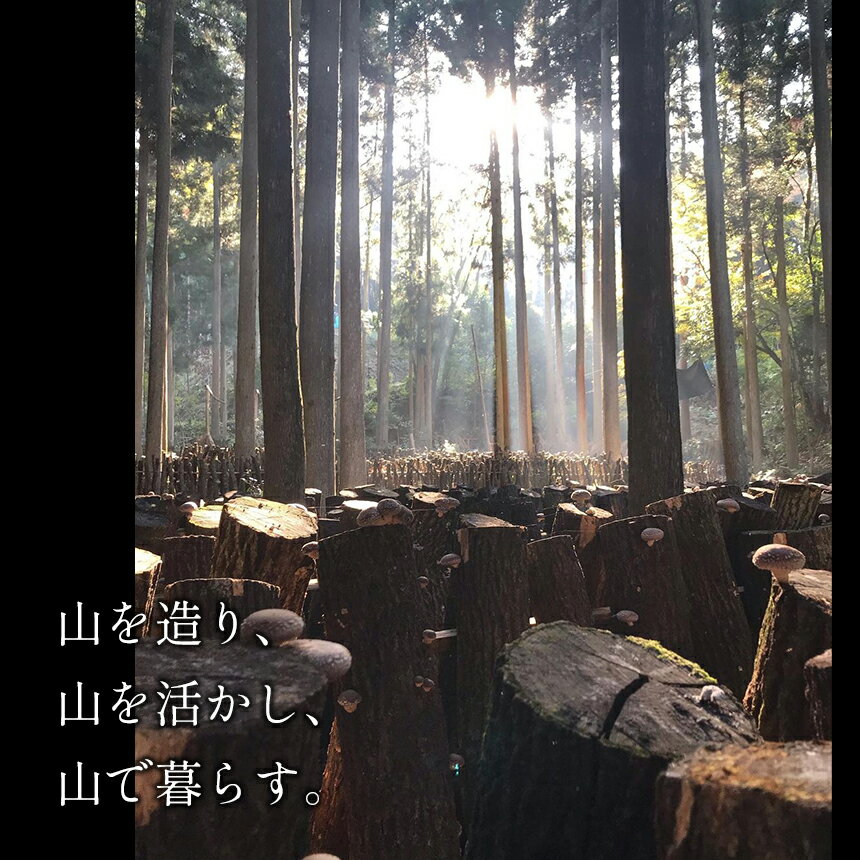 【ふるさと納税】 乾燥 肉厚椎茸 スライス&中葉セット ｜ 乾燥椎茸 しいたけ 椎茸 肉厚 スライス 中葉 家庭用 野菜 きのこ 和食 洋食 料理 出汁 特産品 美祢市 山口県 美祢 - 画像3