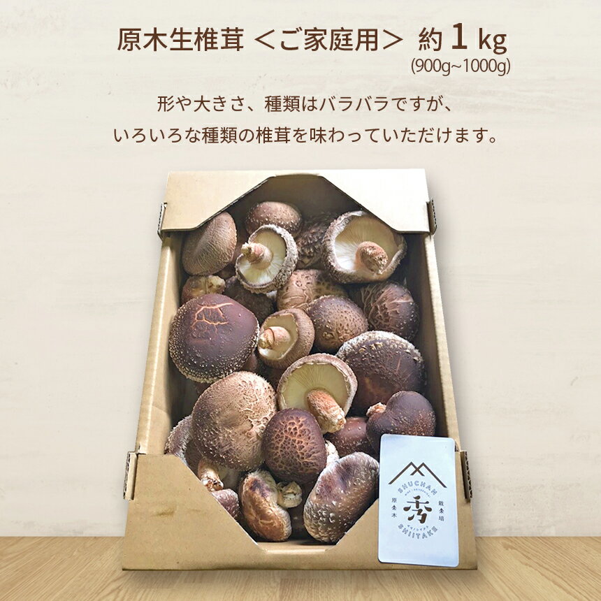 【ふるさと納税】 肉厚椎茸 原木 生 椎茸 ( 大きさ ・ 種類 いろいろ ) 約 900g 〜 1kg 先行予約 ＜2026年 3月以降発送予定 ＞ | しいたけ 椎茸 キノコ きのこ 家庭用 特産品 美祢市 美祢 山口県 肉厚 原木 濃厚 900g 1kg - 画像2