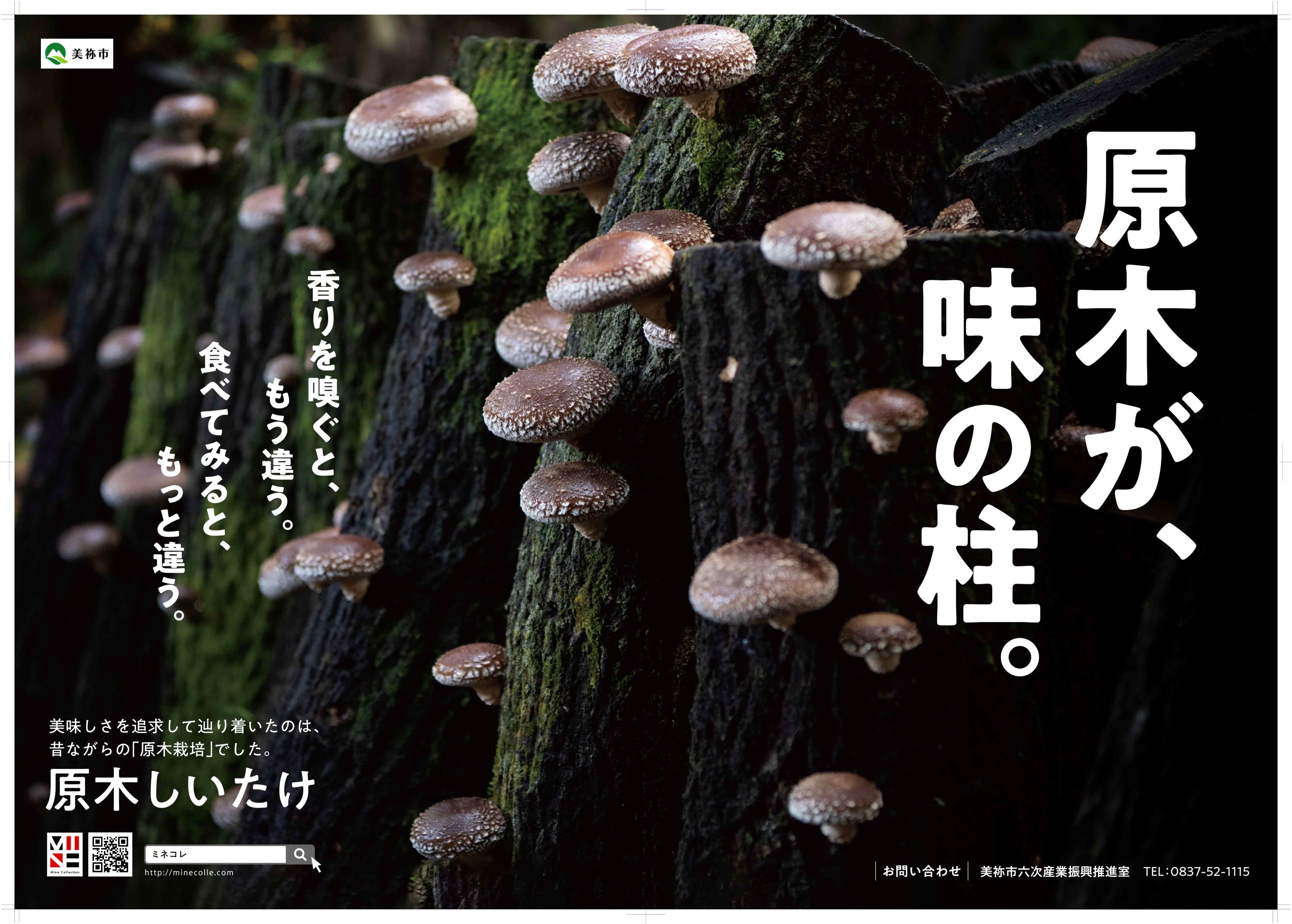 【ふるさと納税】 乾燥椎茸 食感も香りもおいしい しいたけ 乾燥 袋(大) 中葉(110g入り)×3袋セット ｜ 乾燥椎茸 椎茸 しいたけ きのこ 乾燥 中葉 肉厚 和食 洋食 料理 出汁 手土産 特産品 山口県 美祢市 美祢 - 画像2