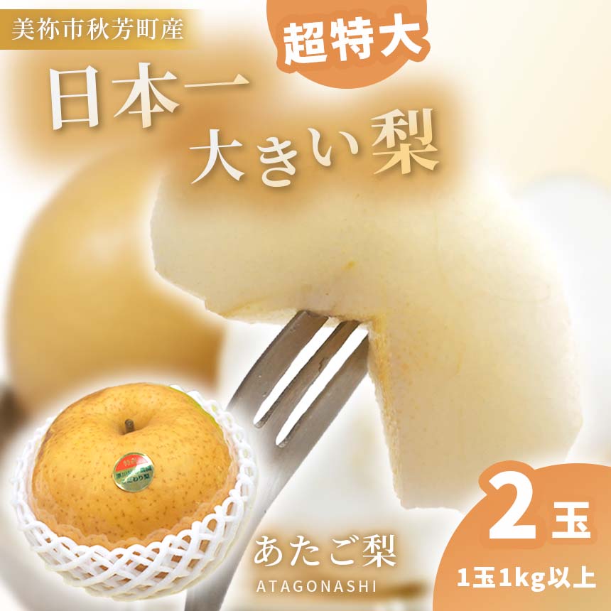 【 ふるさと納税 】【 数量限定 】 約1kg の 超特大 あたご梨 ( 2玉 ) ｜ 梨 あたご なし フルーツ 果物 くだもの BIG ビッグ 大きい 特産品 美祢市 山口県 美祢 秋芳 秋芳町 カルスト台地 先行予約 期間限定 1kg