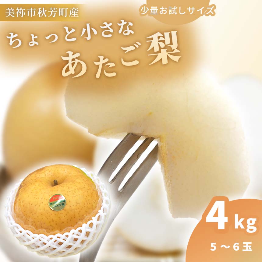 ちょっと小さな あたご梨 4kg ｜ 梨 あたご なし フルーツ 果物 くだもの BIG ビッグ 大きい 特産品 美祢市 山口県 美祢 秋芳 秋芳町 カルスト台地 先行予約 期間限定 4kg