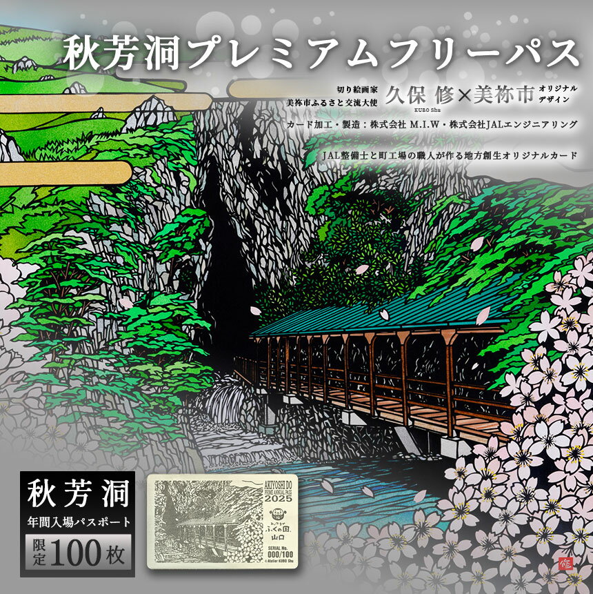 数量限定 秋芳洞 プレミアム フリーパス ｜切り絵 久保修 JAL 飛行機 整備士 エンジン チタン入洞 周遊 カード 洞窟 美祢市 美祢 山口県 秋吉台 洞窟 ライトアップ 秋吉台 旅行 レジャー 記念品 限定 特別