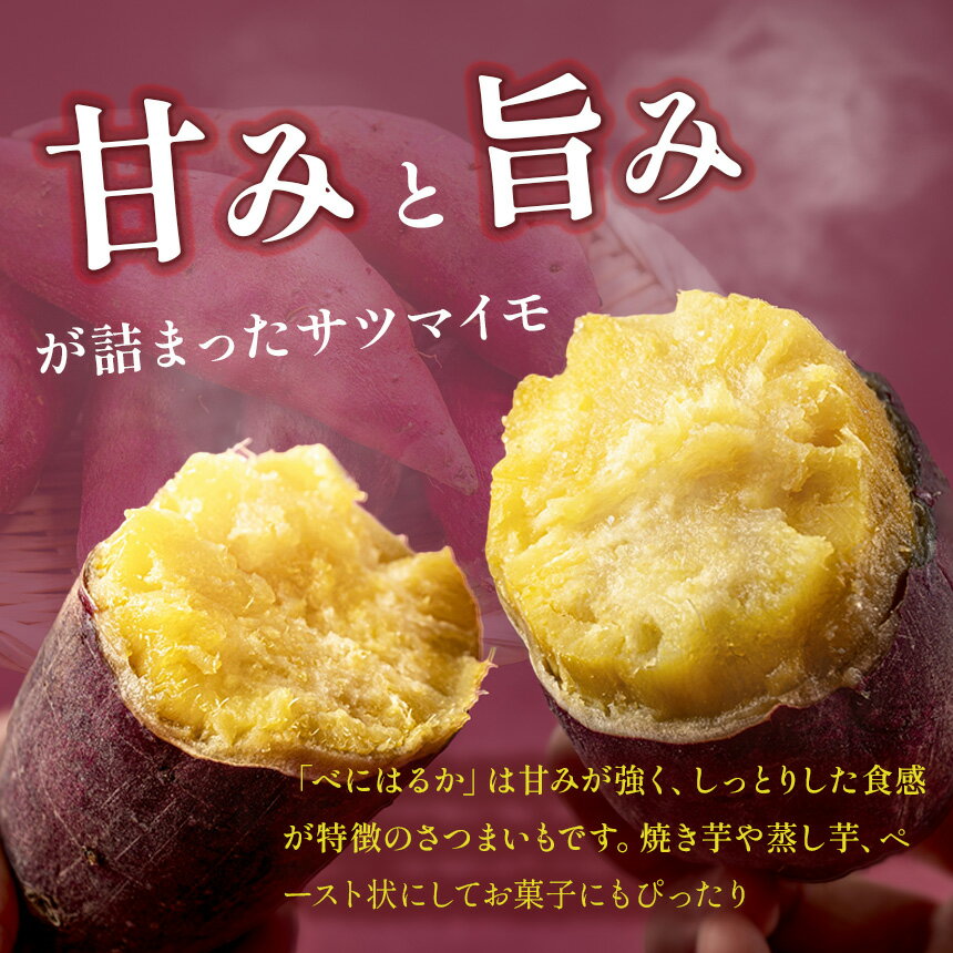 【ふるさと納税】さつまいも TVで紹介！ 【 アフター保証 】甘くておいしい！ 紅はるか ≪ 選べる 容量 ≫ ｜ さつまいも サツマイモ 芋 いも 野菜 紅はるか べにはるか 1kg 5kg 10kg サムネイル3