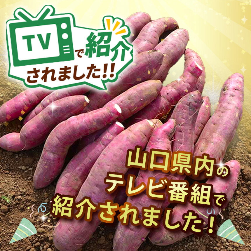 【ふるさと納税】さつまいも TVで紹介！ 【 アフター保証 】甘くておいしい！ 紅はるか ≪ 選べる 容量 ≫ ｜ さつまいも サツマイモ 芋 いも 野菜 紅はるか べにはるか 1kg 5kg 10kg サムネイル2
