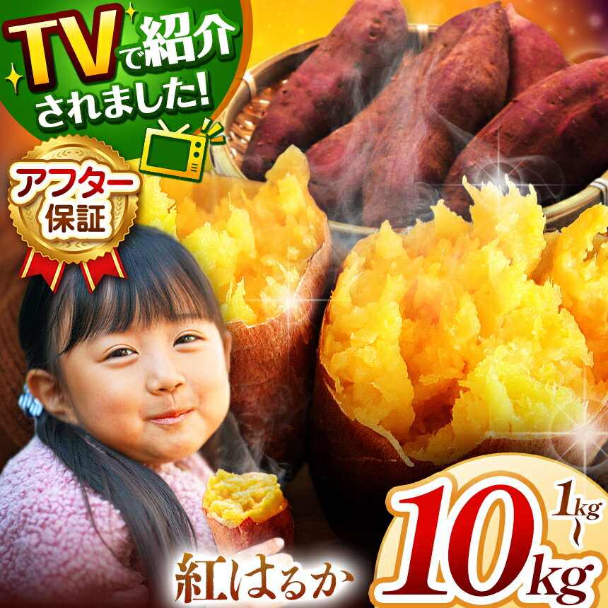 さつまいも TVで紹介！ 【 アフター保証 】甘くておいしい！ 紅はるか ≪ 選べる 容量 ≫ ｜ さつまいも サツマイモ 芋 いも 野菜 紅はるか べにはるか 1kg 5kg 10kg