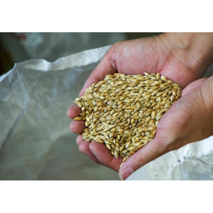 【ふるさと納税】オーダーメイドクラフト 50ケース（1ケース330ml×24本）1200本【地ビール ご当地 ビール 山口県 酒 お酒 飲み比べ IPA 瓶ビール おすすめ】 | お酒 さけ 食品 人気 おすすめ 送料無料 ギフト サムネイル3