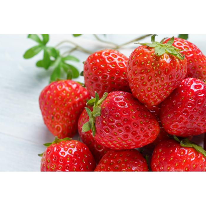 【ふるさと納税】【先行予約12月下旬以降発送】極甘イチゴ よつぼし 2段箱(約800g～900g） 大粒完熟つみとり | フルーツ 果物 くだもの 食品 人気 おすすめ 送料無料 サムネイル3