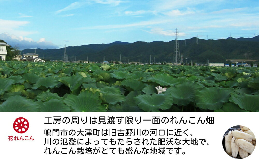 【ふるさと納税】花れんこんの『れんこんポタージュ』710g(5人前)×2袋 280g(2人前)×3袋 - 画像3