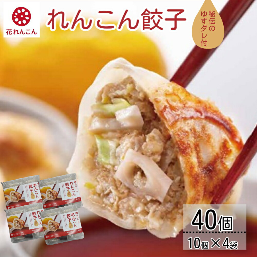 秘伝のゆずダレ付 鳴門れんこん餃子 200g（20g×10個）×4袋 | 花れんこん 蓮根 レンコン 徳島 ハンバーグ レトルト おかず 惣菜 総菜