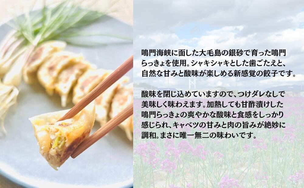 【ふるさと納税】鳴門らっきょ餃子（10個入箱）×3箱セット | らっきょう 徳島 餃子 レトルト おかず 惣菜 総菜 - 画像2