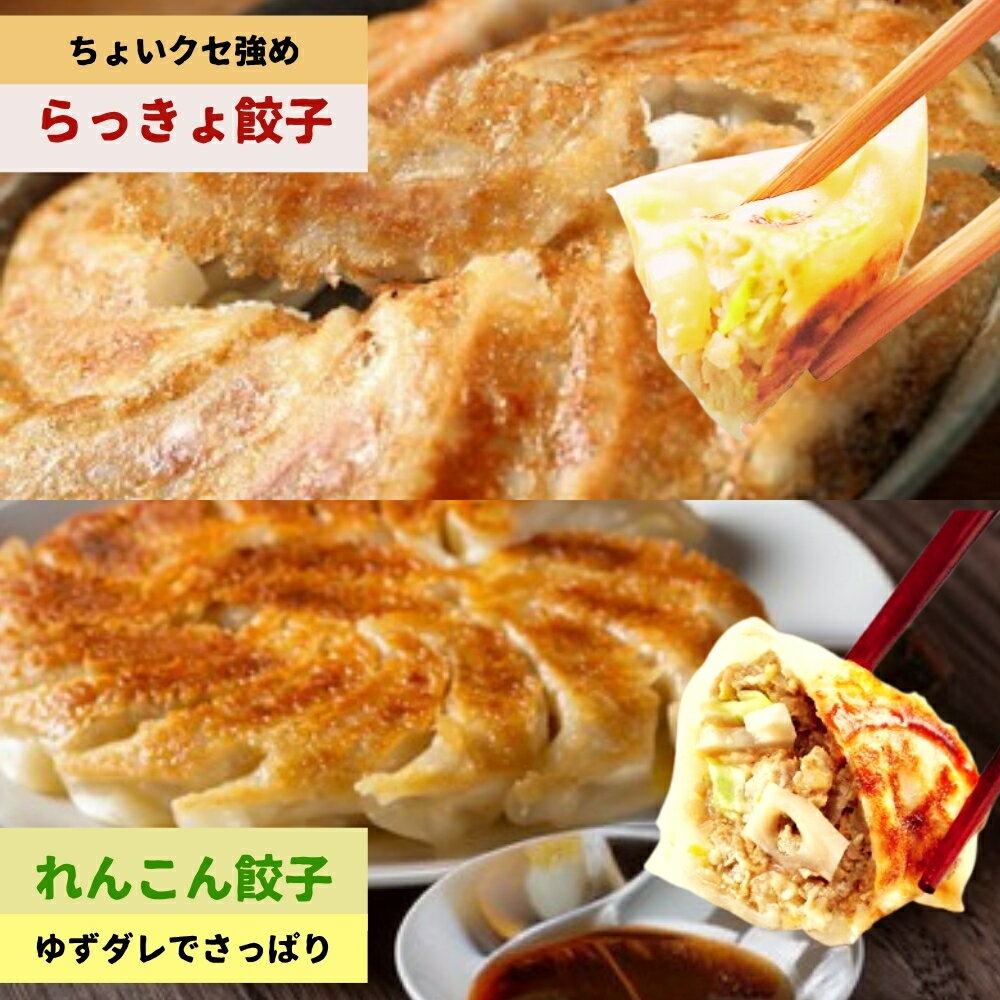 【ふるさと納税】豪華鳴門餃子セット | れんこん餃子 らっきょ餃子 おかず 惣菜 レトルト - 画像2