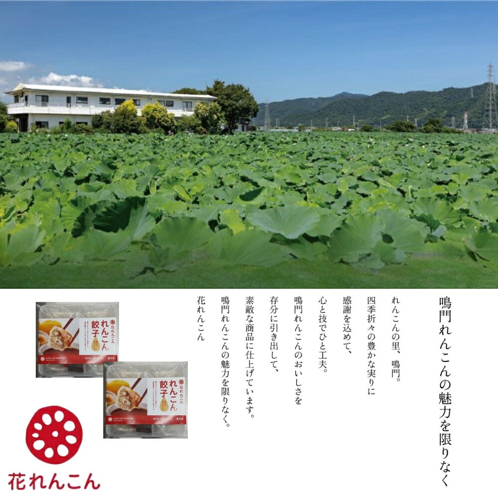 【ふるさと納税】豪華鳴門餃子セット | れんこん餃子 らっきょ餃子 おかず 惣菜 レトルト - 画像3