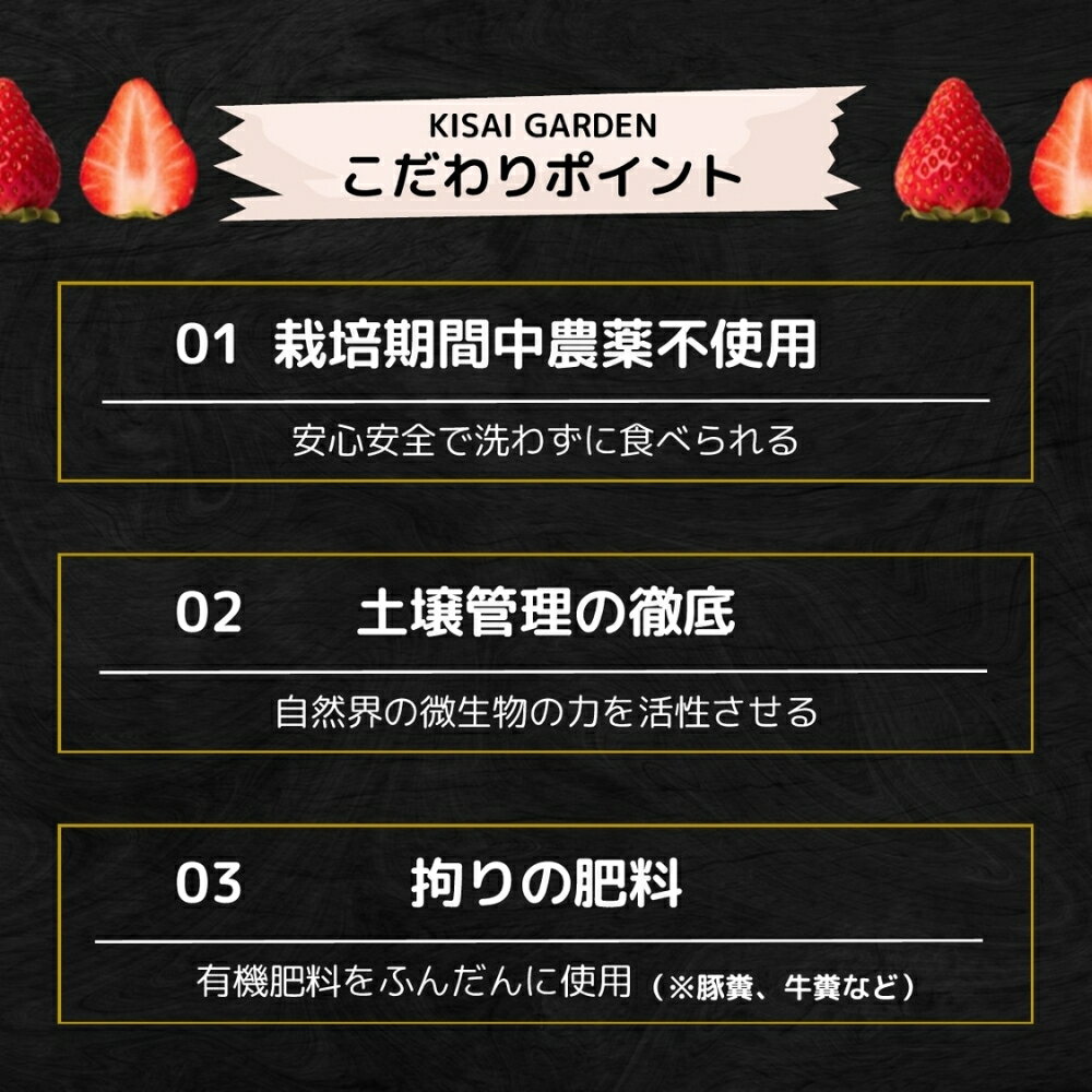 【ふるさと納税】【 予約受付中・2026年1月頃より順次発送 】KISAI BERRY 250g×4パック 【数量限定】 | 栽培期間中農薬不使用 苺 いちご イチゴ 紅ほっぺ 徳島 鳴門 果物 フルーツ スムージー ジャム サムネイル3