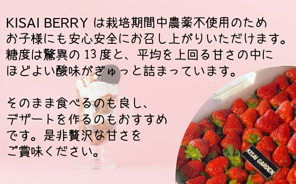 【ふるさと納税】【 予約受付中・2026年1月頃より順次発送 】KISAI BERRY 250g×4パック 【数量限定】 | 栽培期間中農薬不使用 苺 いちご イチゴ 紅ほっぺ 徳島 鳴門 果物 フルーツ スムージー ジャム サムネイル2