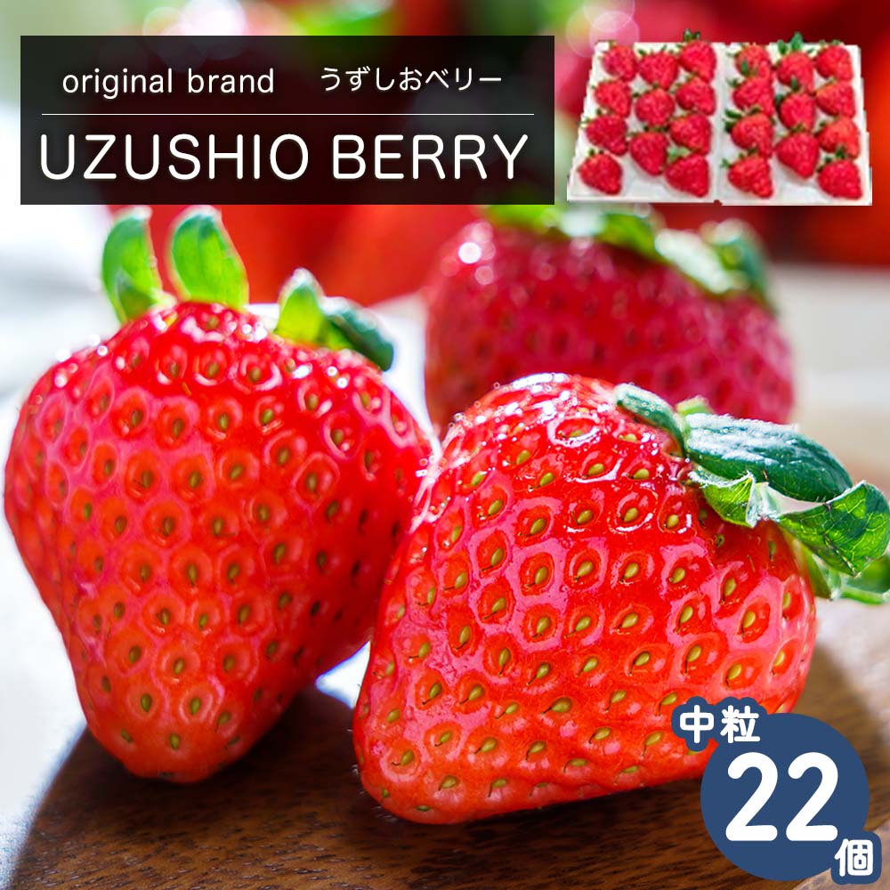 【 予約受付中・2025年12月中旬頃より順次発送 】フルーツガーデンやまがたのいちご「うずしおベリー」約500g 中粒 22個 苺 いちご イチゴ 紅ほっぺ 果物 フルーツ 送料無料 徳島 鳴門 農家直送 ギフト 甘い 旬 数量限定