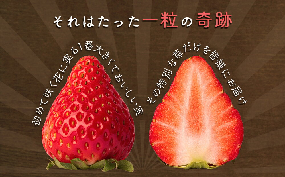 【ふるさと納税】【 予約受付中・2025年12月中旬頃より順次発送 】フルーツガーデンやまがたのいちご「うずしおベリー」約500g 中粒 22個 苺 いちご イチゴ 紅ほっぺ 果物 フルーツ 送料無料 徳島 鳴門 農家直送 ギフト 甘い 旬 数量限定 サムネイル2