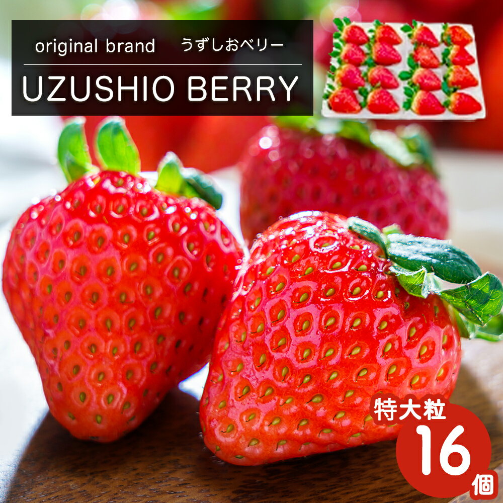 【 予約受付中・2025年12月中旬頃より順次発送 】 フルーツガーデンやまがたのいちご「うずしおベリー」約750g 特大粒 16個 苺 いちご イチゴ 紅ほっぺ 果物 フルーツ 送料無料 徳島 鳴門 農家直送 ギフト 甘い 旬 数量限定