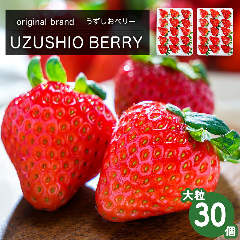 【 予約受付中・2025年12月中旬頃より順次発送 】フルーツガーデンやまがたのいちご「うずしおベリー」約900g 大粒 30個 苺 いちご イチゴ 紅ほっぺ 果物 フルーツ 送料無料 徳島 鳴門 農家直送 ギフト 甘い 旬 数量限定