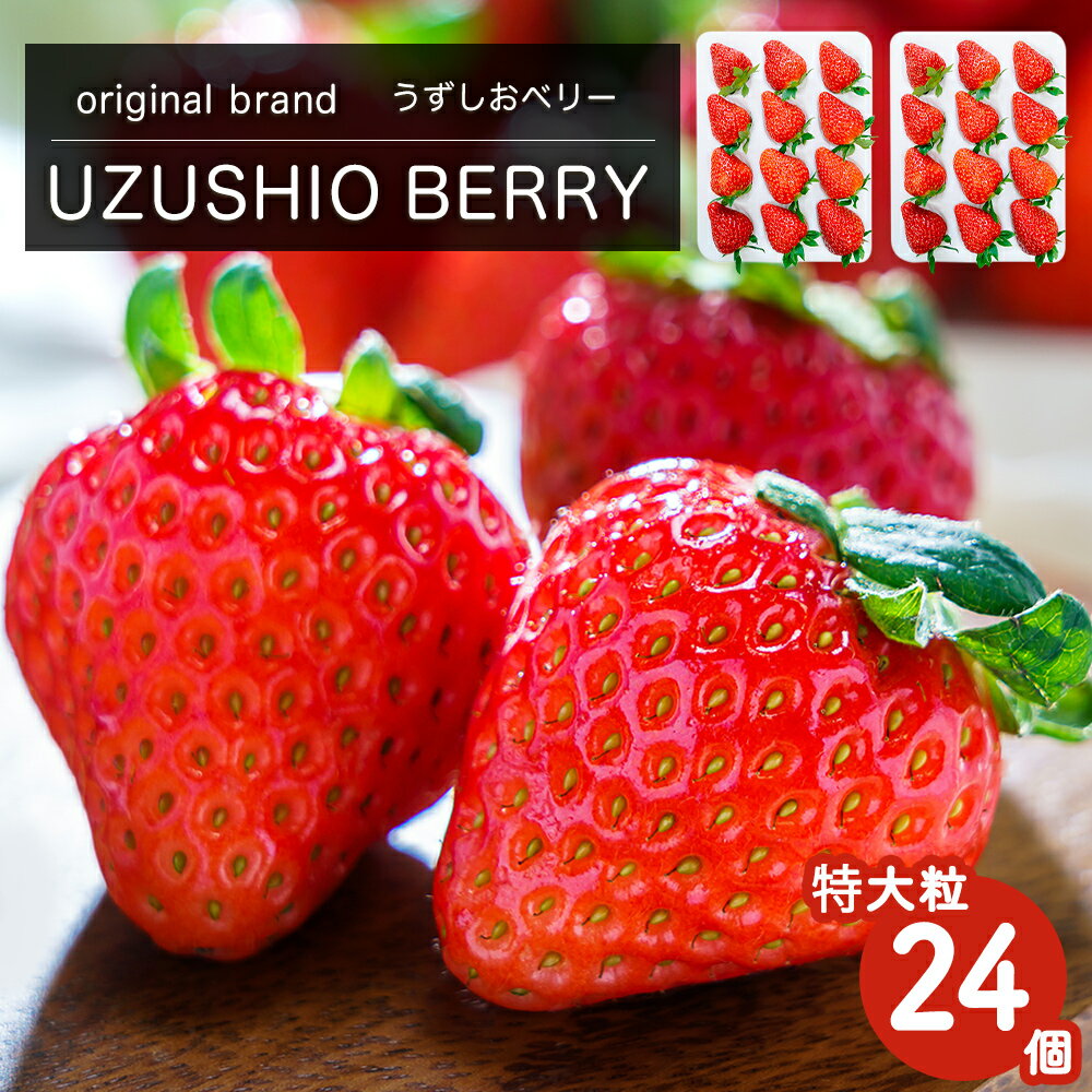 【 予約受付中・2025年12月中旬頃より順次発送 】フルーツガーデンやまがたのいちご「うずしおベリー」約900g 特大粒24個 苺 いちご イチゴ 紅ほっぺ 果物 フルーツ 送料無料 徳島 鳴門 農家直送 ギフト 甘い 旬 数量限定