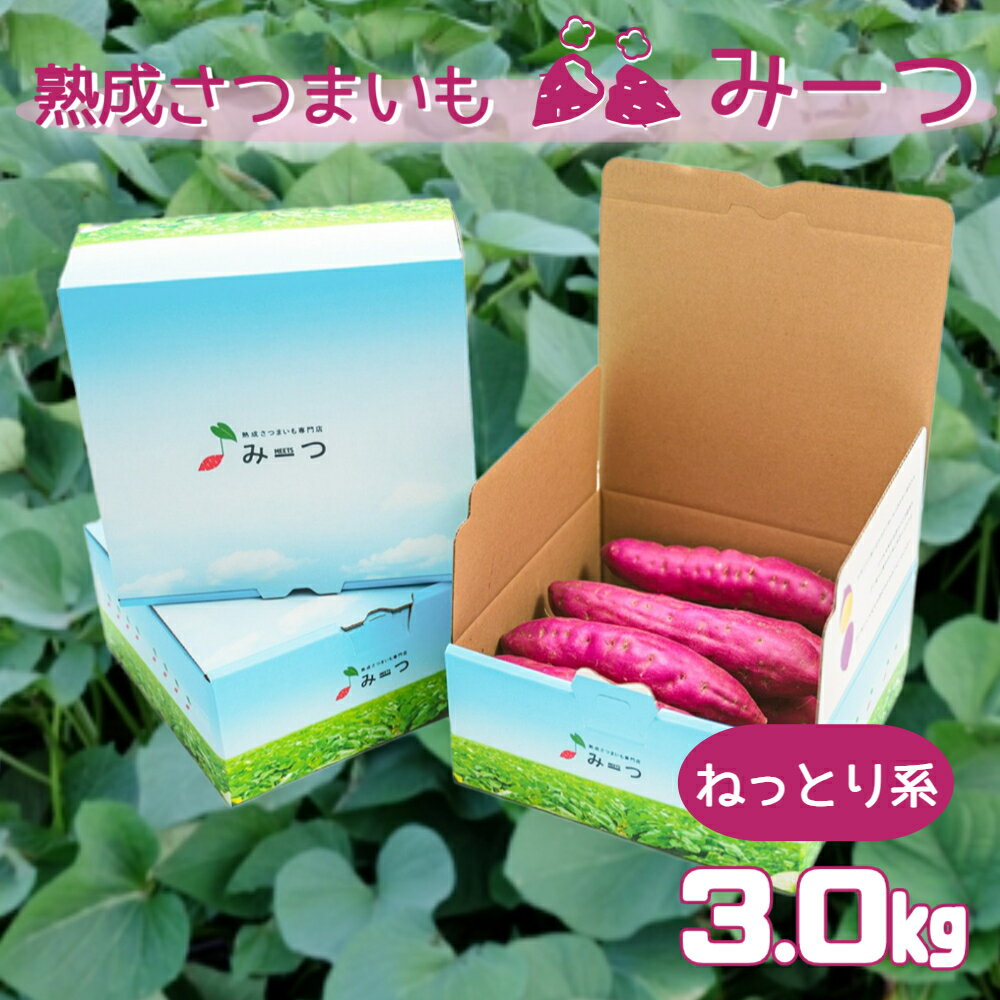 熟成さつまいも みーつ 3.0kg（ ねっとり系 ）｜ 紅はるか べにはるか 甘い ねっとり 熟成 国産 産地直送 スイーツ おやつ 焼き芋 焼芋 焼きいも スイートポテト 天ぷら 干し芋 ギフト お土産 おみやげ