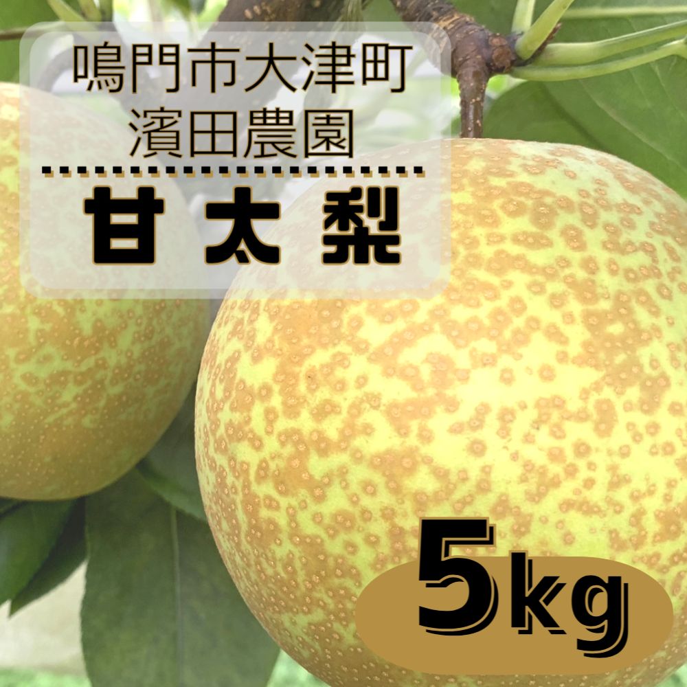 濱田農園 甘太梨 約5kg 【数量限定】【10月中旬より順次発送】 徳島県産 感動の甘さ 和梨 豊水 幸水 国産 鳴門