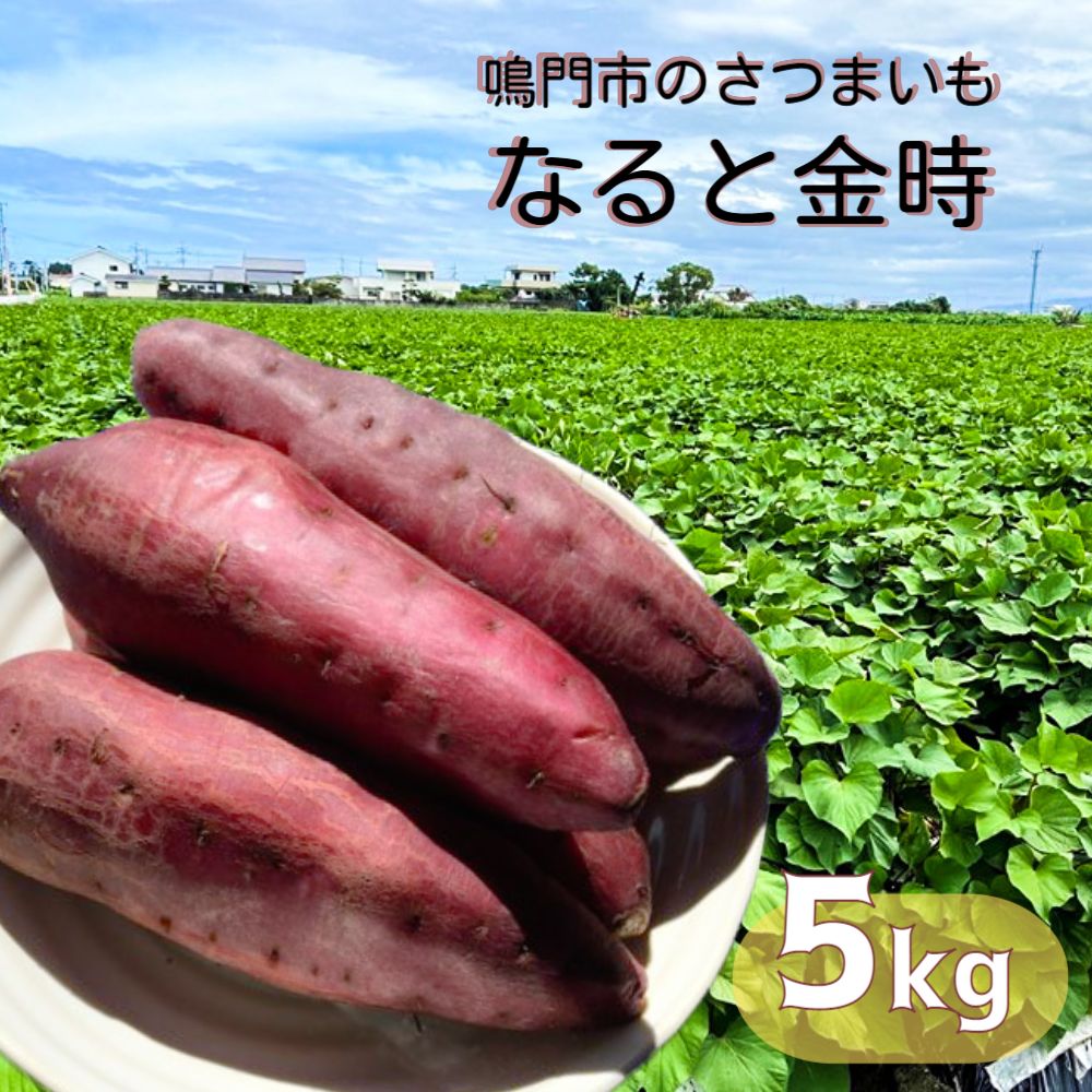 】本場・徳島県鳴門市産「 なると金時 」約5kg【数量限定】鳴門金時 ほくほく 甘い 熟成 国産 産地直送 スイーツ おやつ 天ぷら 干し芋 ギフト
