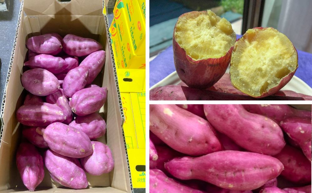 【ふるさと納税】 本場・徳島県鳴門市産「ご家庭用 ( 訳あり ) なると金時 」約5kg【数量限定】なると金時 ほくほく 甘い 熟成 国産 産地直送 スイーツ おやつ 天ぷら 干し芋 ギフト サムネイル3