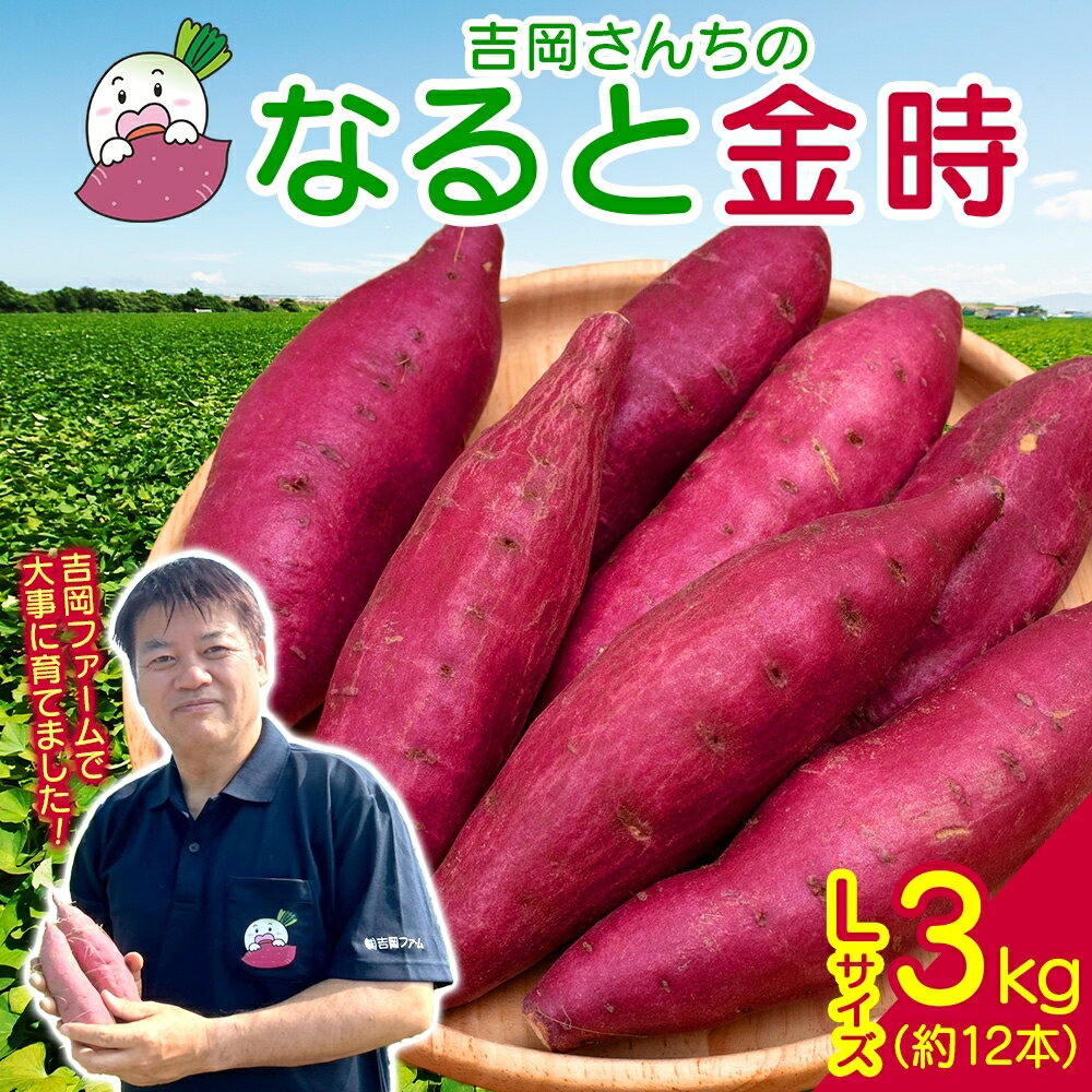 「吉岡さんちのなると金時」 Lサイズ 3kg｜なると金時 ほくほく 甘い 熟成 国産 産地直送 スイーツ おやつ 天ぷら 干し芋 ギフト