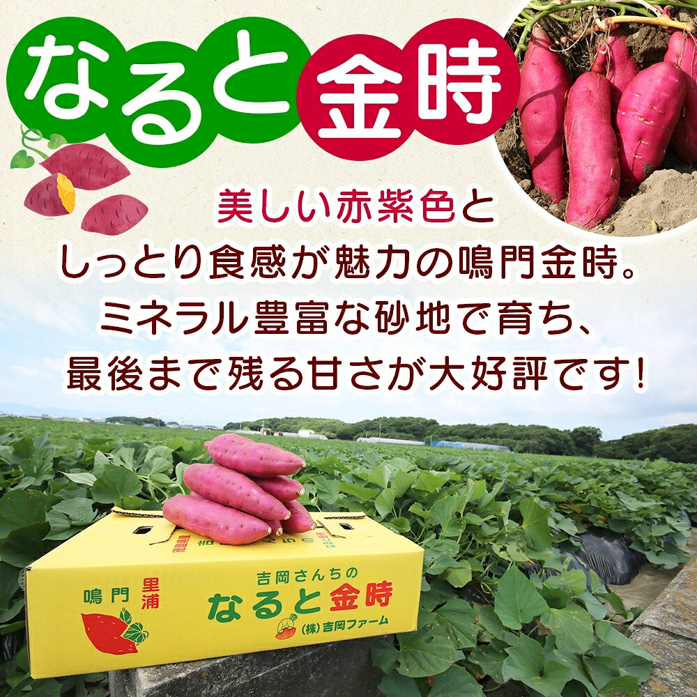 【ふるさと納税】「吉岡さんちのなると金時」 Lサイズ 3kg｜なると金時 ほくほく 甘い 熟成 国産 産地直送 スイーツ おやつ 天ぷら 干し芋 ギフト - 画像2