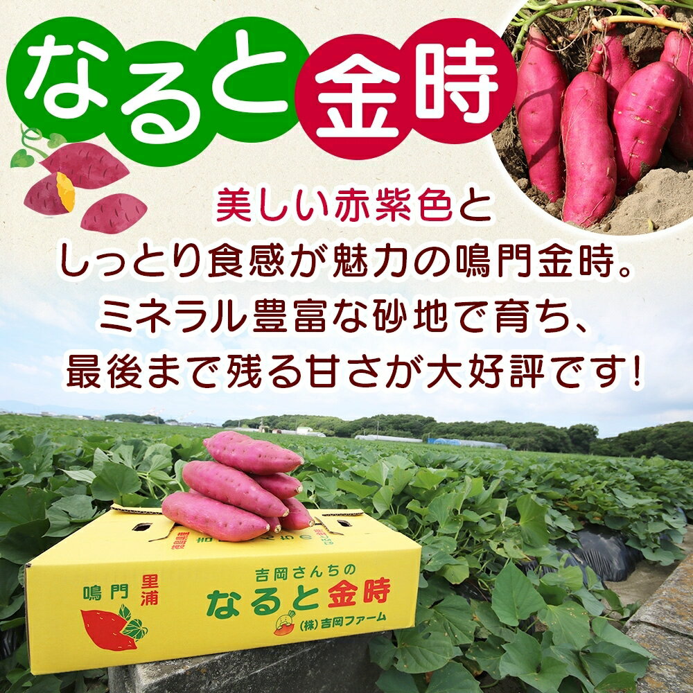 【ふるさと納税】「吉岡さんちのなると金時」 Lサイズ　5kg｜なると金時 ほくほく 甘い 熟成 国産 産地直送 スイーツ おやつ 天ぷら 干し芋 ギフト - 画像2