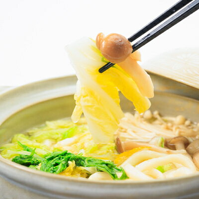 【ふるさと納税】冷凍野菜ミックス(お鍋用)(二人前)200g×5袋【配送不可地域：離島】【1233927】 - 画像3