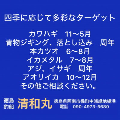 【ふるさと納税】徳島清和丸 阿南沖釣り船 割引チケット【1460807】 サムネイル3