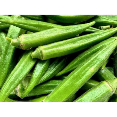 徳島県阿南市産冷凍おくら200g×5袋【配送不可地域：離島】【1590159】