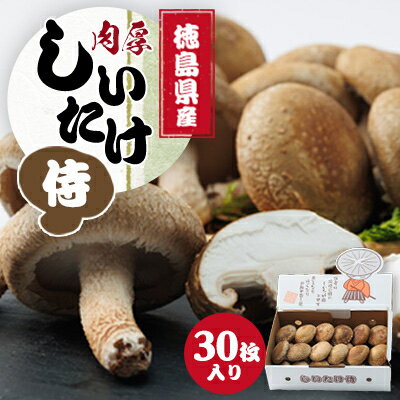 徳島県産菌床生椎茸　しいたけ侍　30枚入【配送不可地域：離島】【1302531】