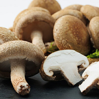 【ふるさと納税】徳島県産菌床生椎茸　しいたけ侍　30枚入【配送不可地域：離島】【1302531】 - 画像3