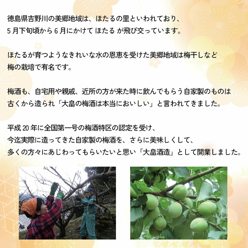 【ふるさと納税】 梅酒 治三郎 720ml 辛口 お酒 酒 リキュール アルコール 25% 梅 うめ 果物 フルーツ ギフト 母の日 父の日 プレゼント 贈り物 贈答 お中元 お歳暮 送料無料 国産 吉野川市 徳島県 サムネイル2