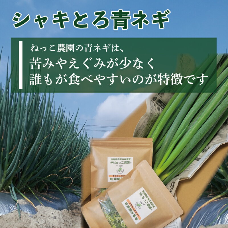 【ふるさと納税】 ねぎ 乾燥ねぎ 【ねっこ農園 手間なし パパッと! 乾燥 刻み ネギ 】 30g 1袋 2袋 3袋 4袋 5袋 ねぎ 乾燥ねぎ 青ネギ 小分け 個包装 チャック お手軽 葱 野菜 味噌汁 うどん 鍋 朝ご飯 徳島県 吉野川市 サムネイル2