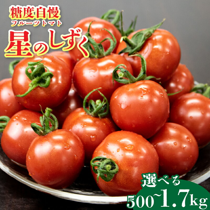 トマト フルーツトマト 選べる 500g～1.7kg 定期便 3回 野菜 やさい ミニトマト 薄皮 星のしずく 完熟 高糖度 糖度 8度 果物 ジュース サワー パスタ スパゲティ ソース ギフト 贈答 プレゼント お取り寄せ グルメ 送料無料 徳島県 阿波市 原田トマト