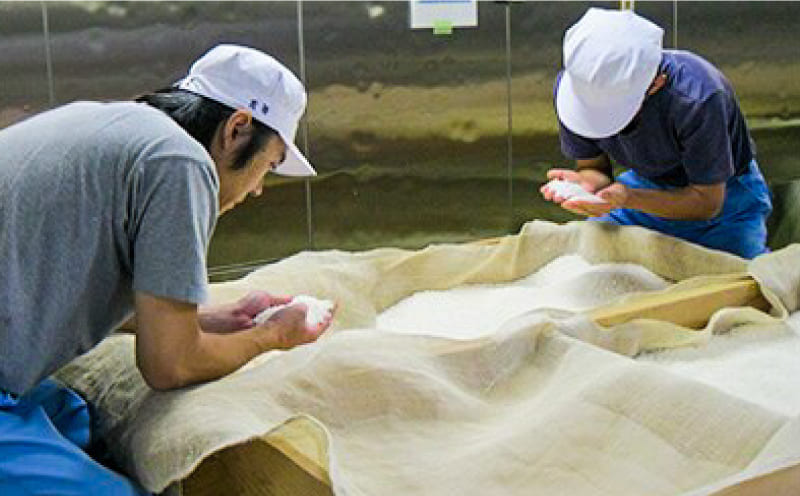 【ふるさと納税】 日本酒 お酒 飲み比べ 純米大吟醸 吟醸 ギフト セット 720ml × 2本 辛口 山田錦 ロック 水割り 宅飲み 晩酌 ギフト 贈答品 プレゼント 贈り物 数量限定 お取り寄せ 徳島県 サムネイル2